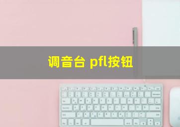 调音台 pfl按钮